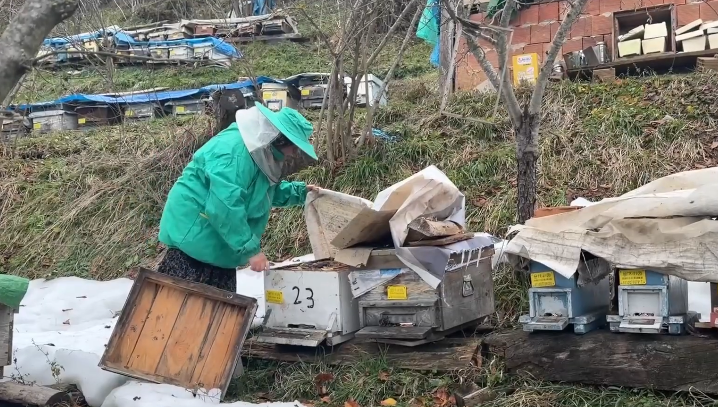 Kadın Arıcıdan Büyük Başarı 10 Kovanı 300 Kovona Çıkardı-1