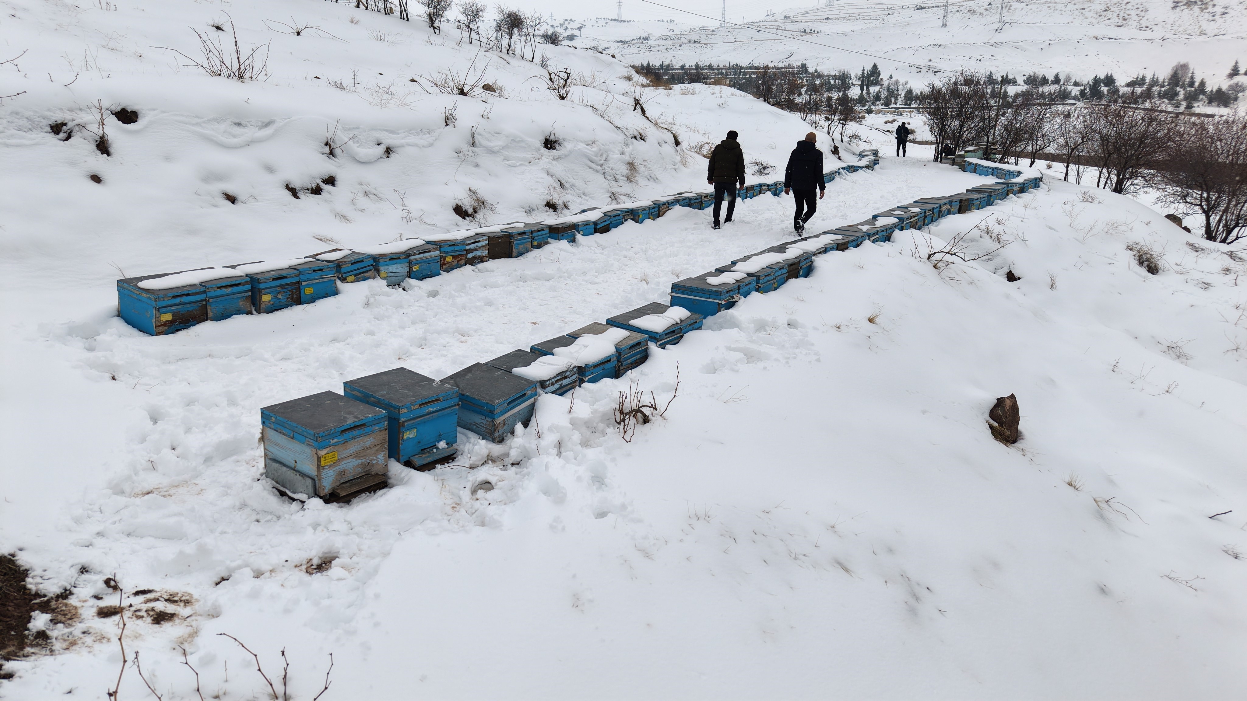 Kar Bereketi Arıcıları Sevindirdi