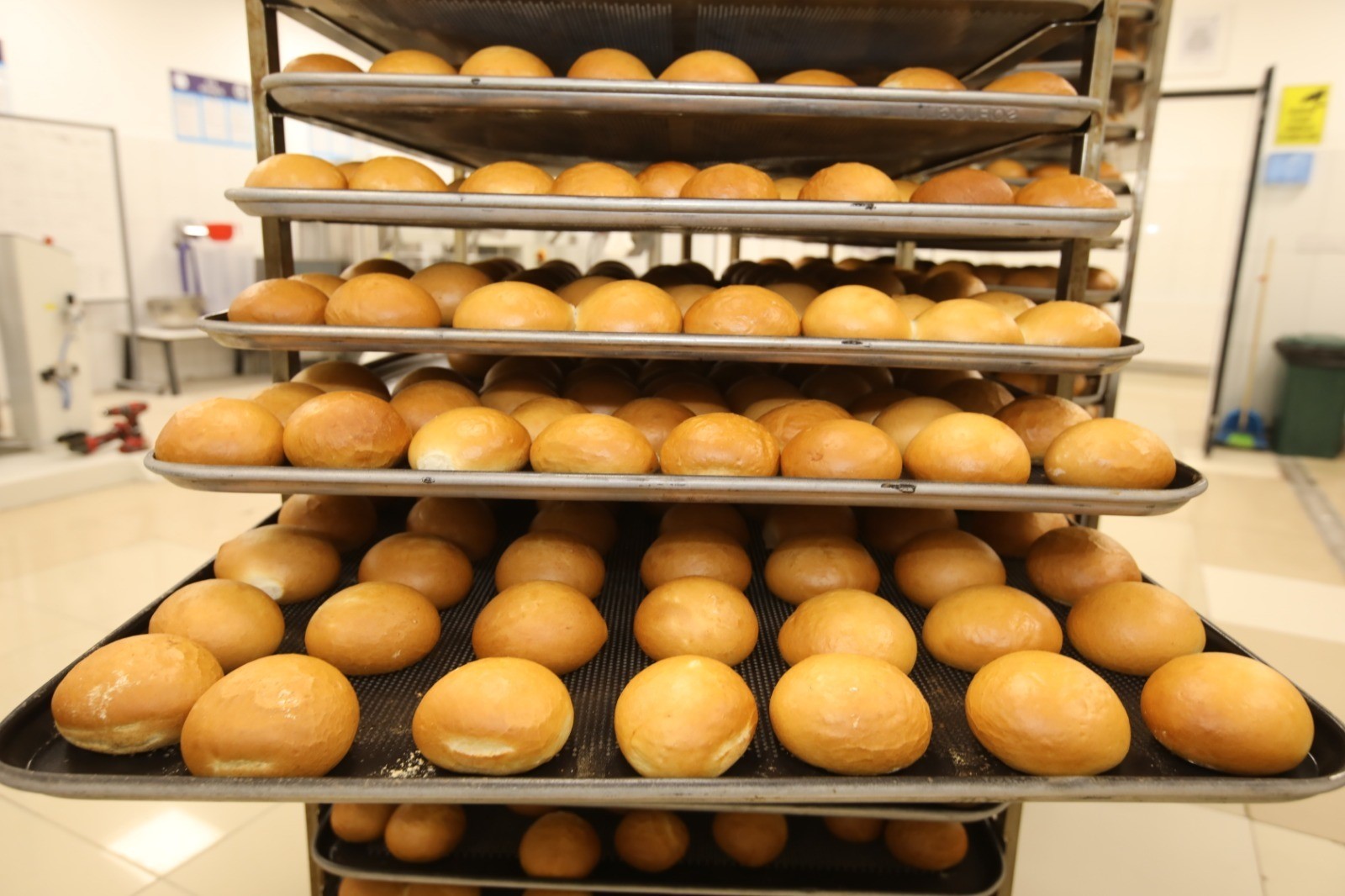 Kendi Ekmeğini Üreten Üniversitede 10 Ayda 2 Milyon ₺ Tasarruf!-1