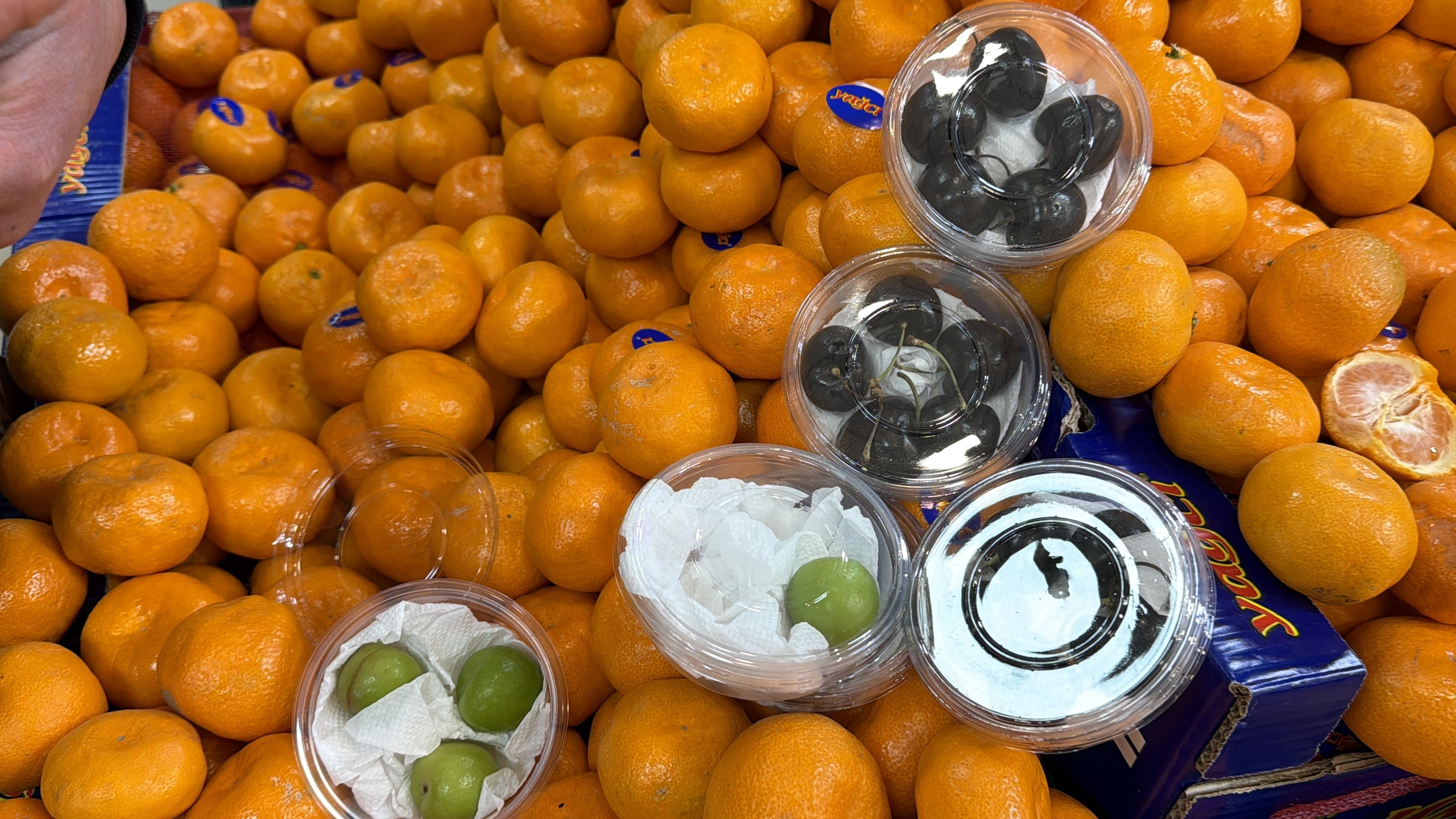 Kış Ortasında Yaz Meyveleri Tanesi 250 Liraya Satılıyor!