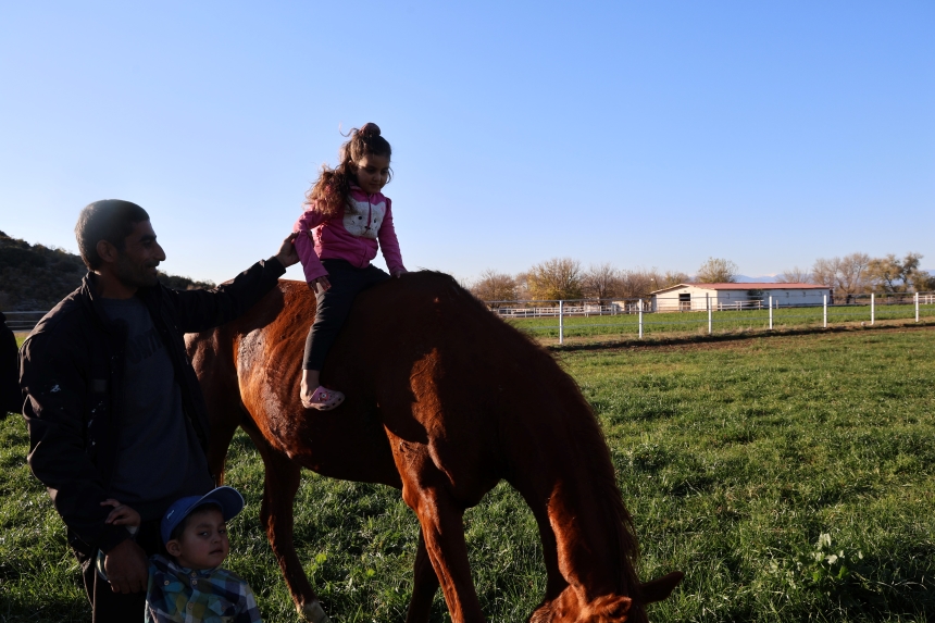 Kozan Milyonluk İngiliz Ve Arap Atlarının Yetişme Alanı (1)