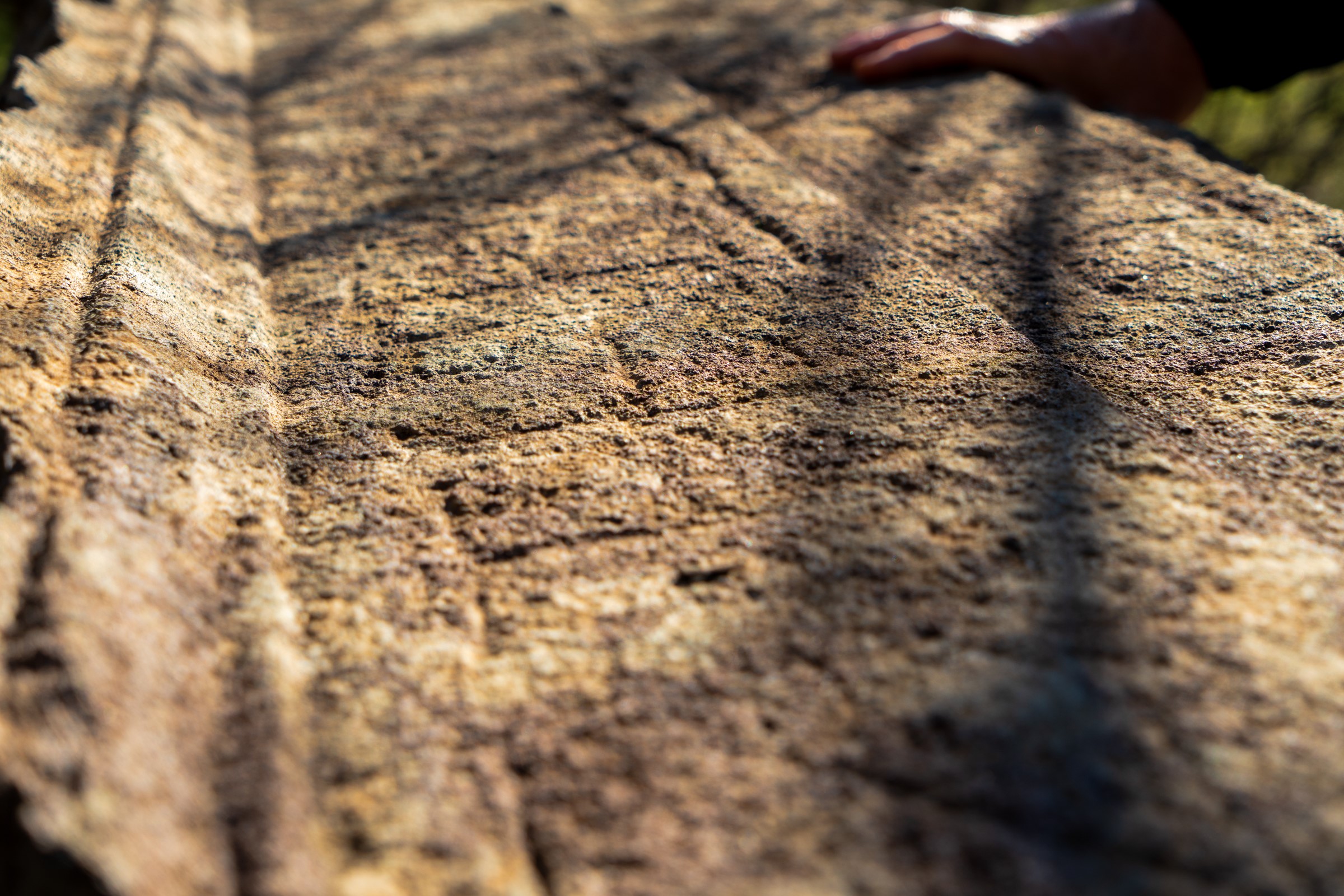 Kültür Turizmin Yeni Rotası Apollon Khresterios Kehanet Tapınağı1