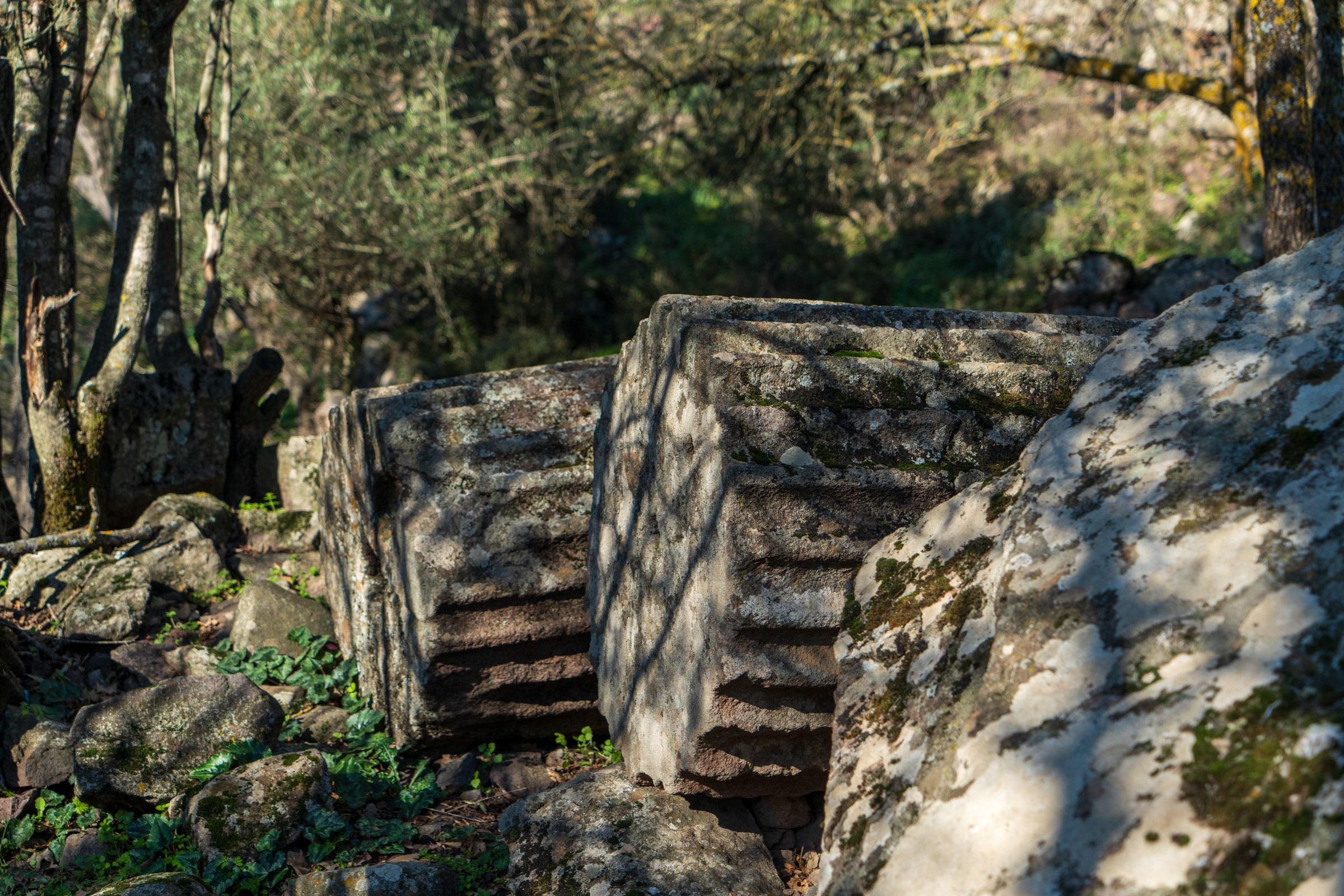 Kültür Turizmin Yeni Rotası Apollon Khresterios Kehanet Tapınağı4