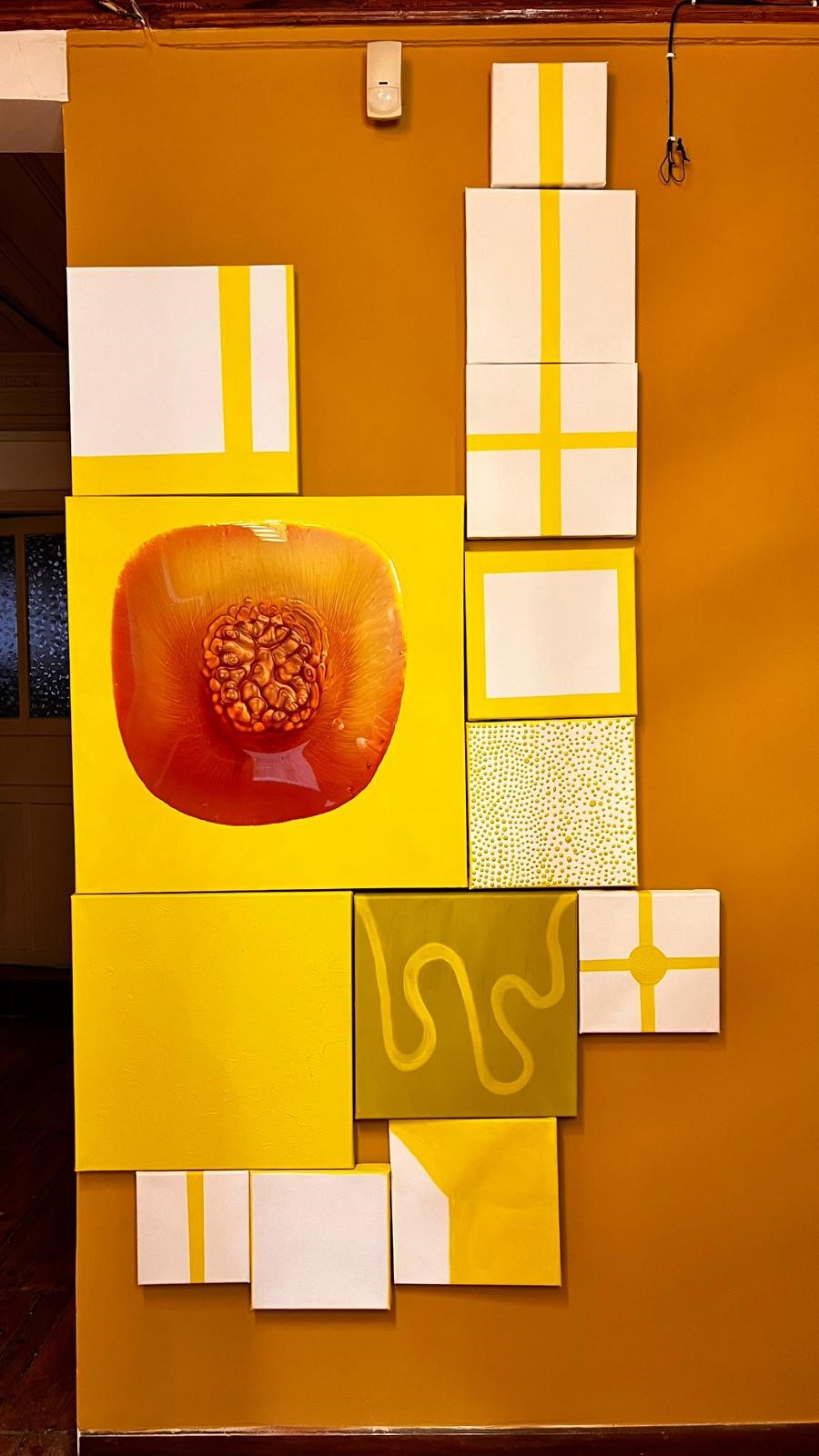 Limon Kolonyası Sergisi (4)