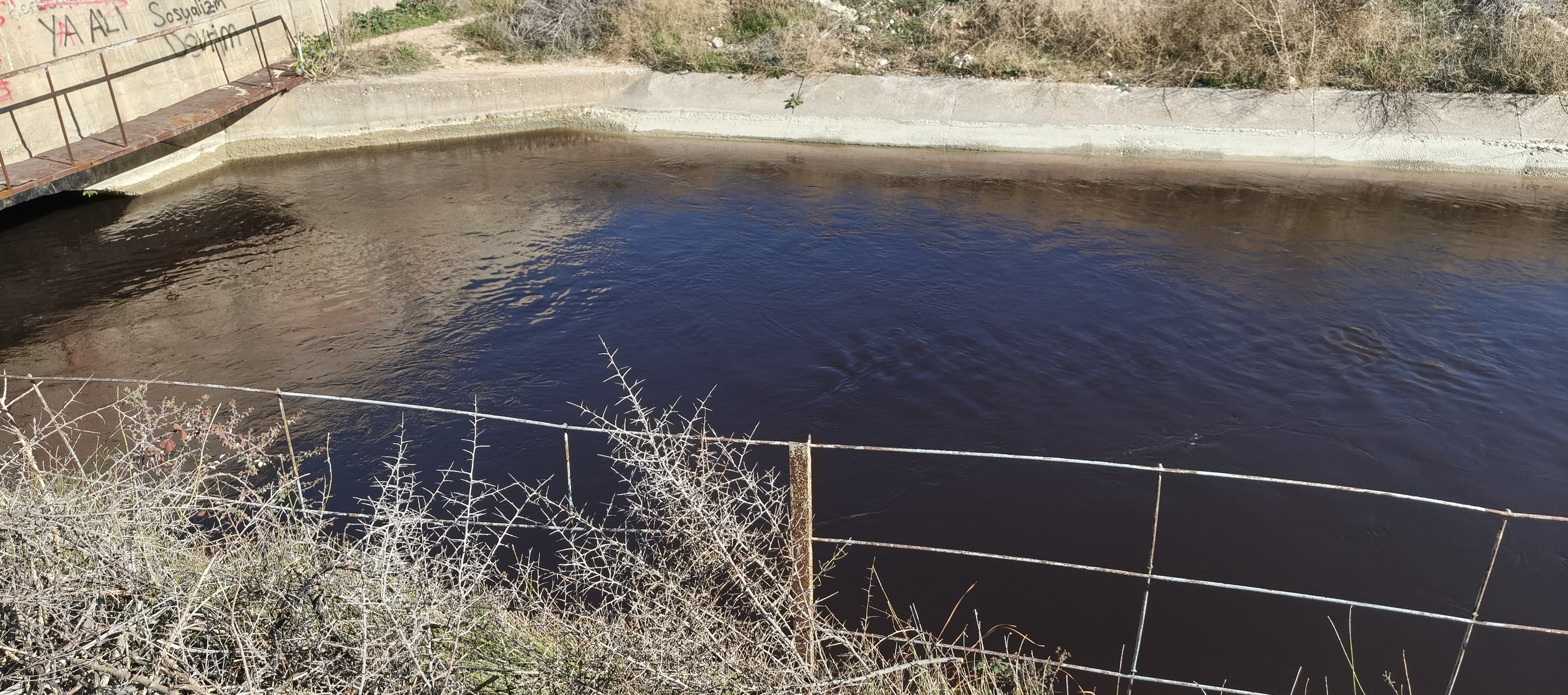 Mersin'de Göksu Nehri'ni Karartan Tesise Milyonluk Ceza (1)