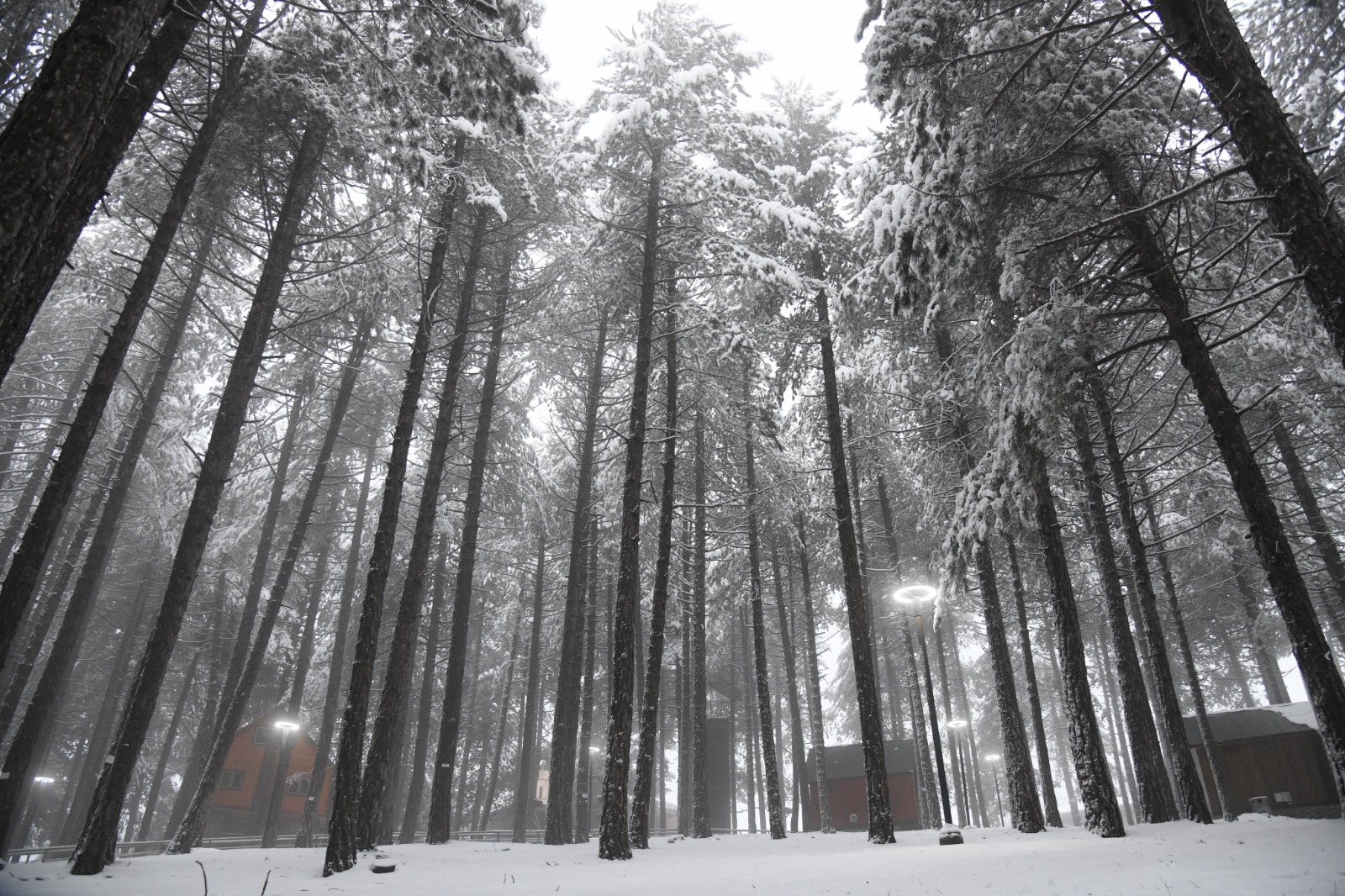 Osmaniye Zorkun Yaylası’nda Karfest Coşkusu Başlıyor (2)