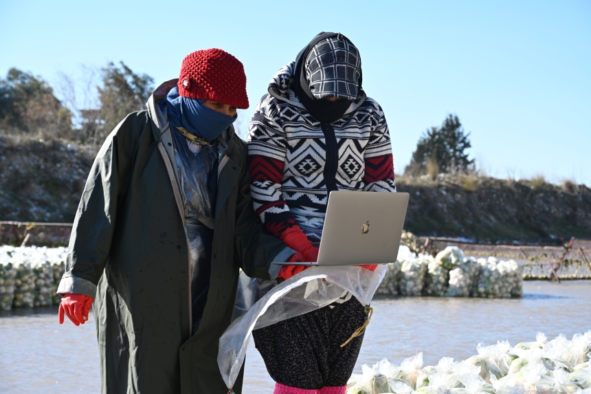 Osmaniyeli Turp İşçileri Savrun Çayı’nda Oy Kullandı (1)