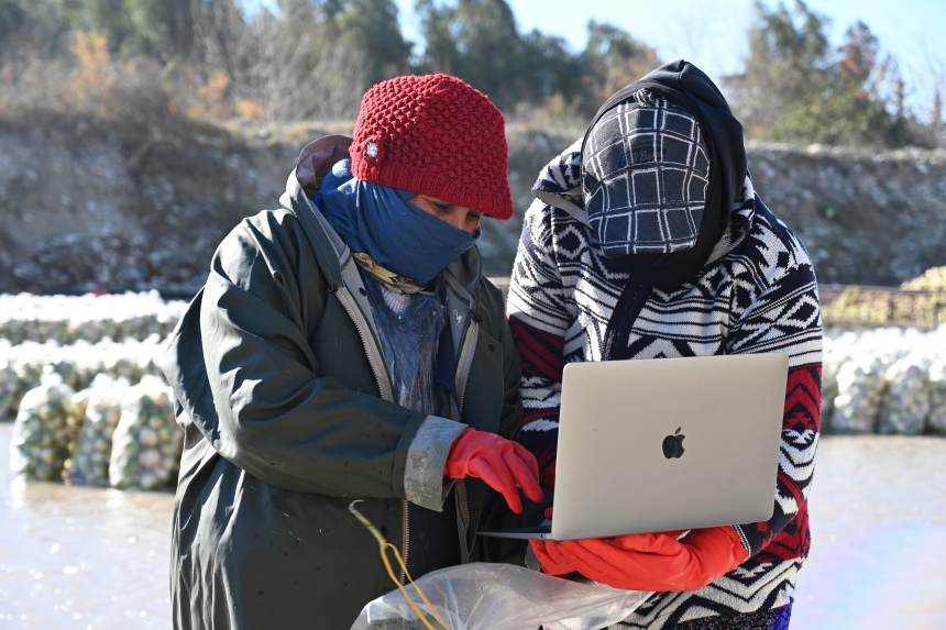 Osmaniyeli Turp İşçileri Savrun Çayı’nda Oy Kullandı (3)