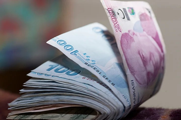 Para Ekonomi Maddi (2)