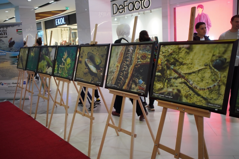 Sapanca Gölü Derinliklerinden Gazze’ye Umut Sergisi!-1