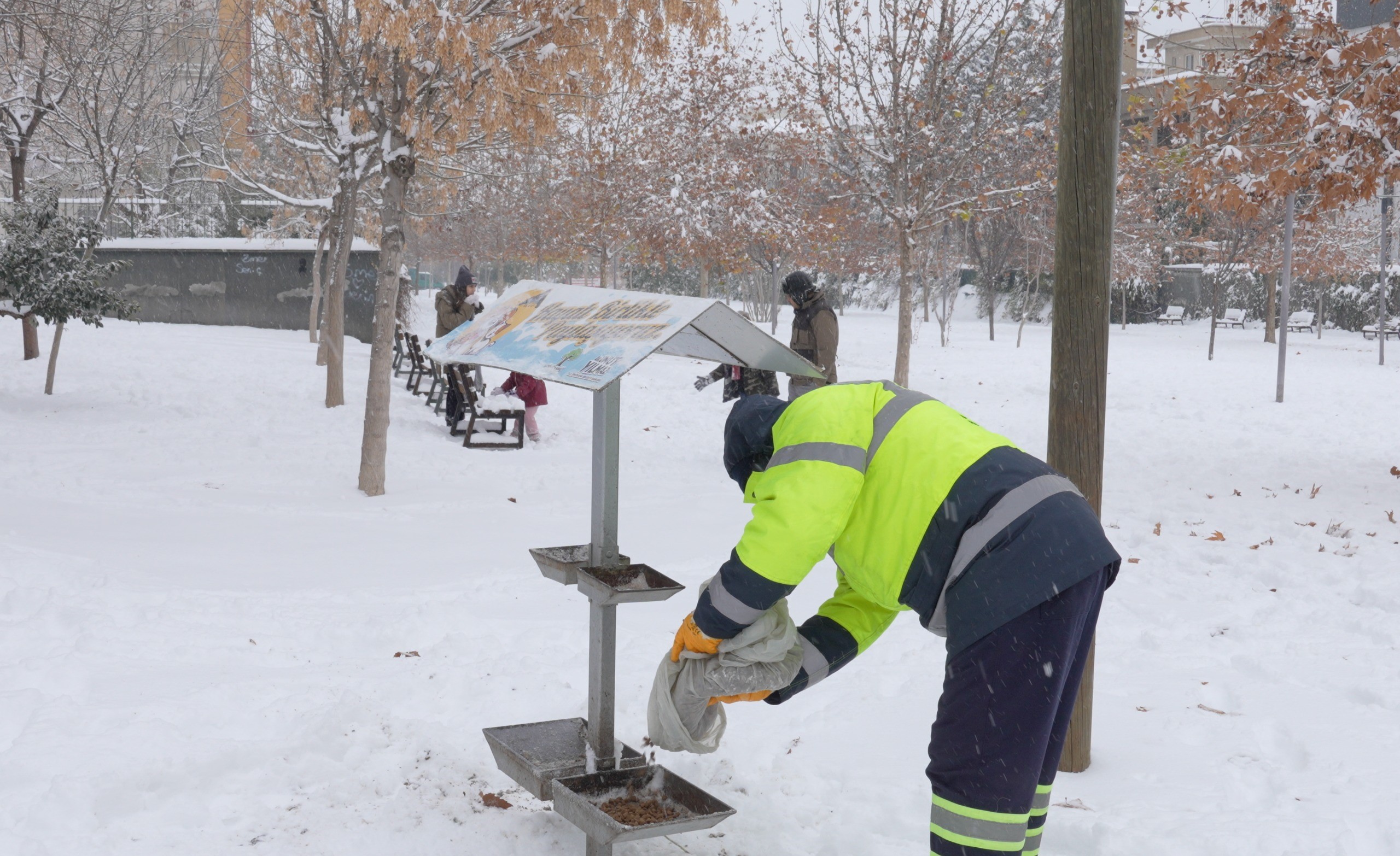 Sokak Hayvanlarına Kar Desteği İlçe Mama İle Donatıldı (2)