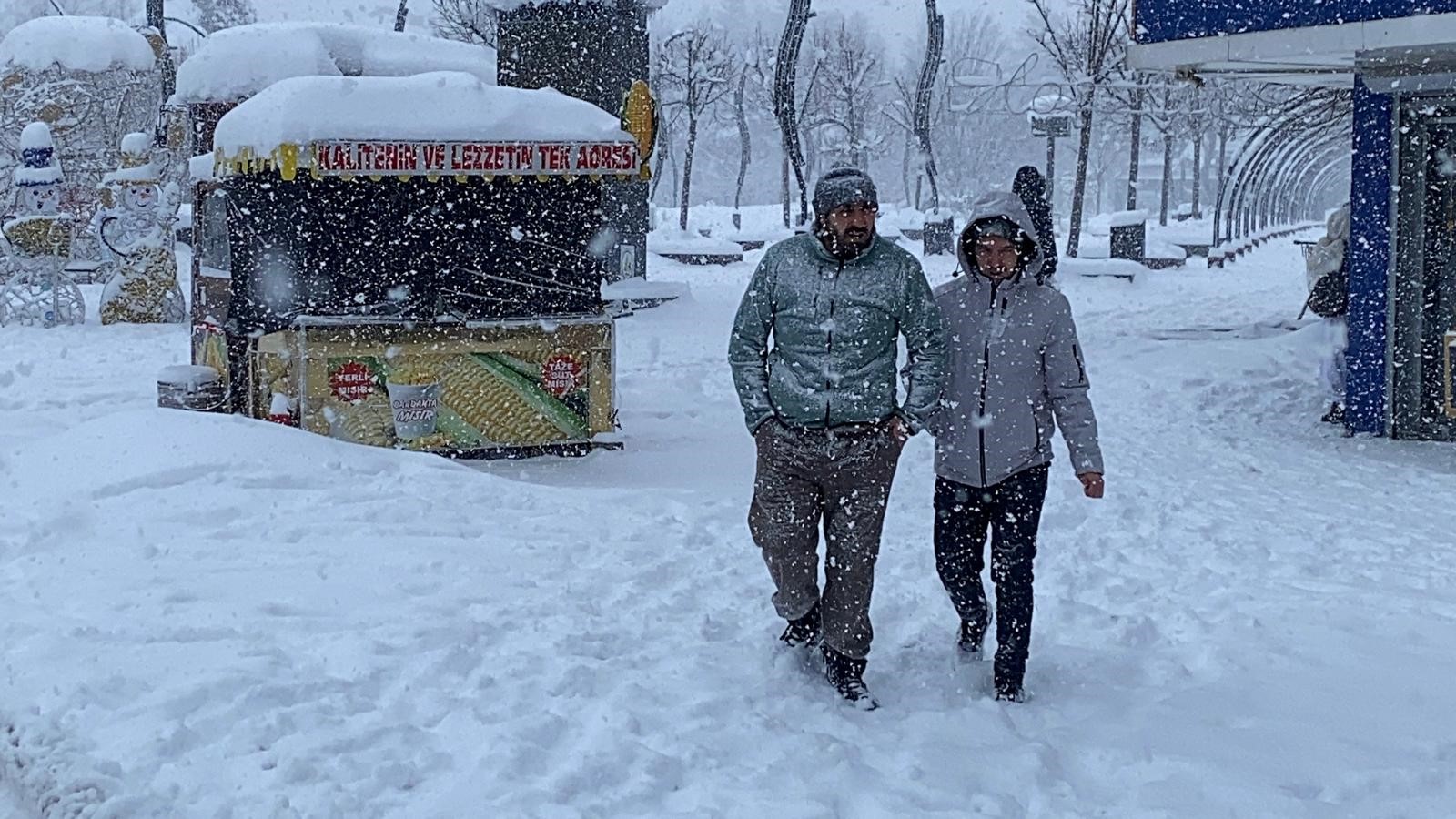 Tabiatın Kalbi Zirvede