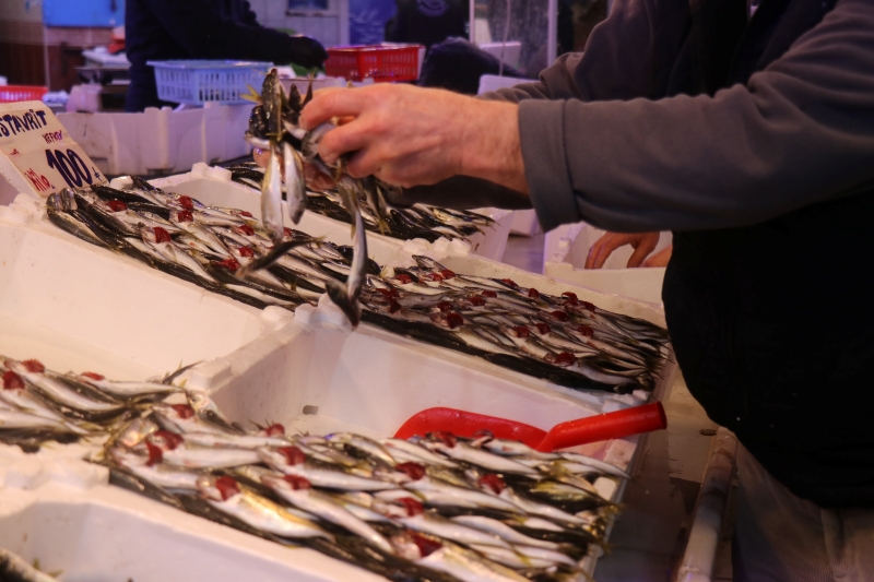 Tezgahlarda İstavrit Bolluğu