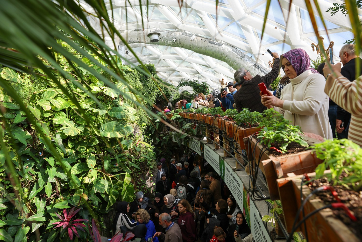 Tropikal Kelebek Bahçesi 4 Milyon Ziyaretçi