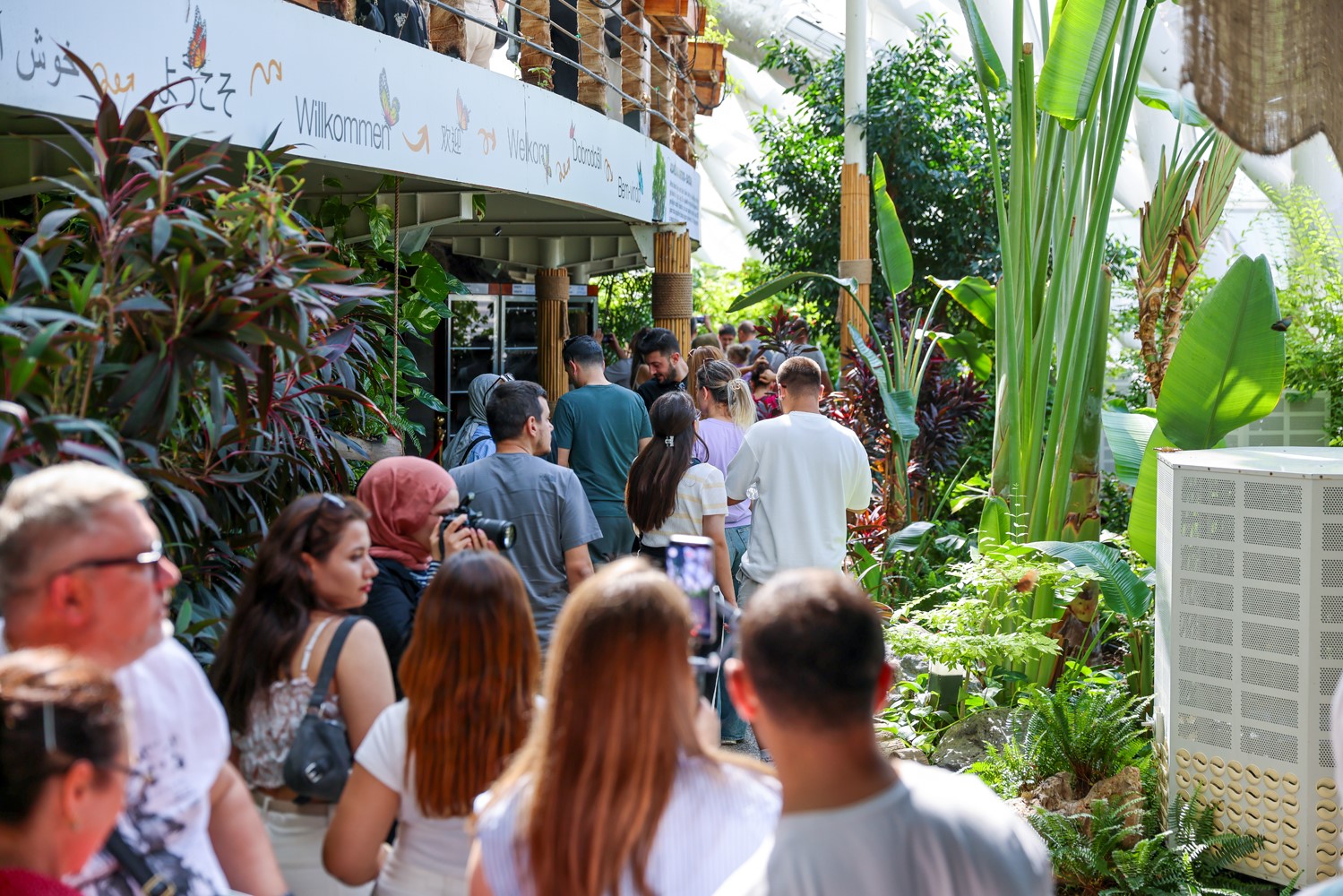 Tropikal Kelebek Bahçesi 4 Milyon Ziyaretçiyi Aştı!