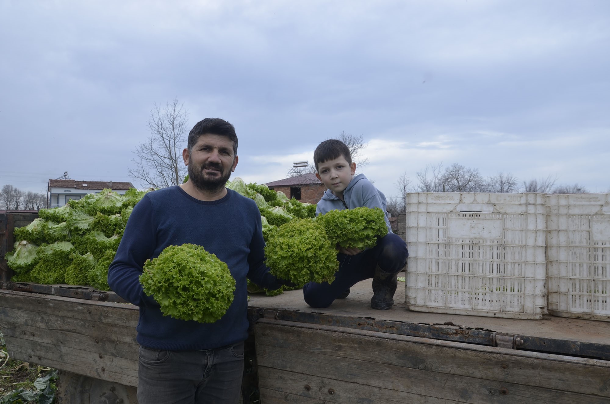 Üretici Zor Günler Yaşıyor Fiyatı 10 15 Liraya Düştü!-1