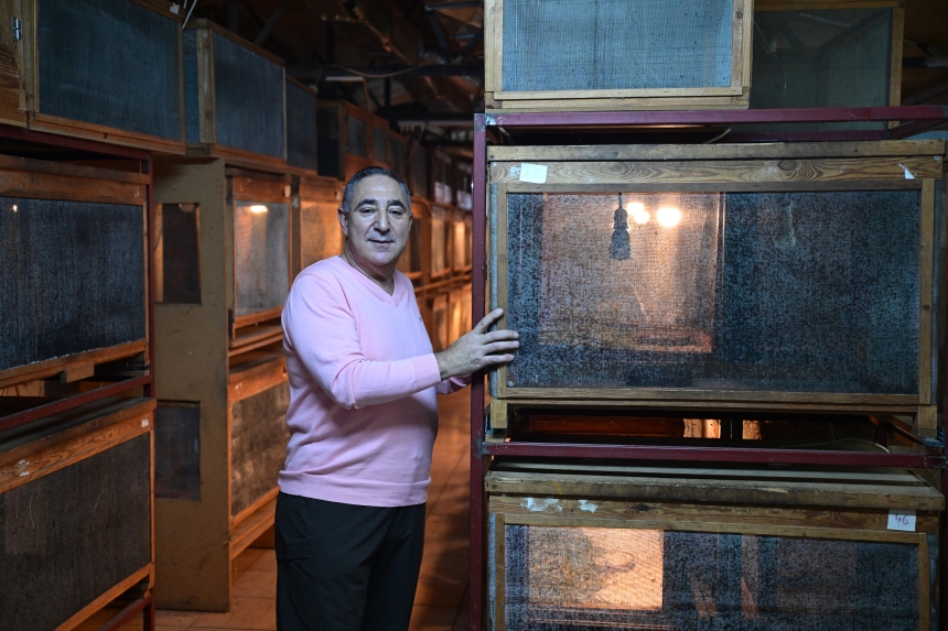 Üretilen Böcekler Bilim Dünyasına Katkı Sağlıyor (4)-1