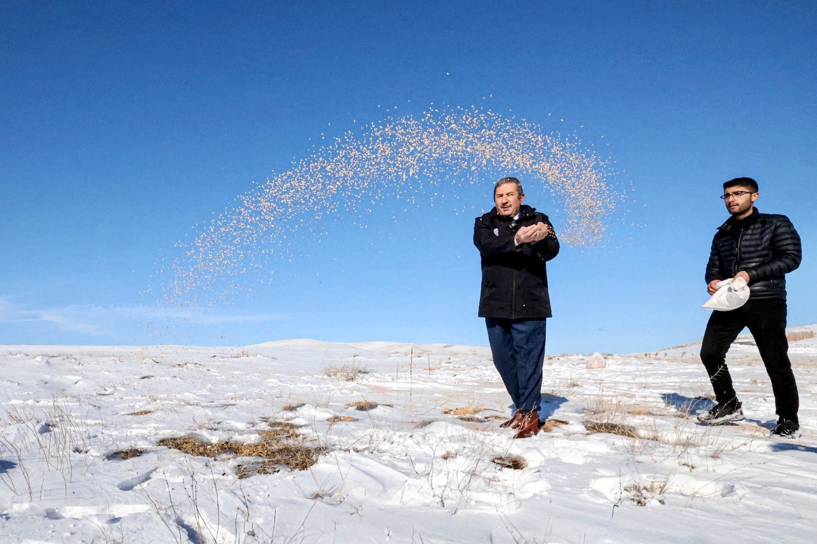 Yaban Hayvanları İçin Kış Seferberliği-1