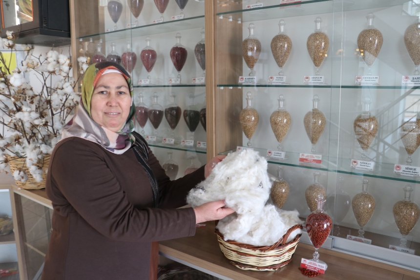 Yerli Pamuktan Lif Kalitesiyle Ekonomiye Çifte Kazanç (1)