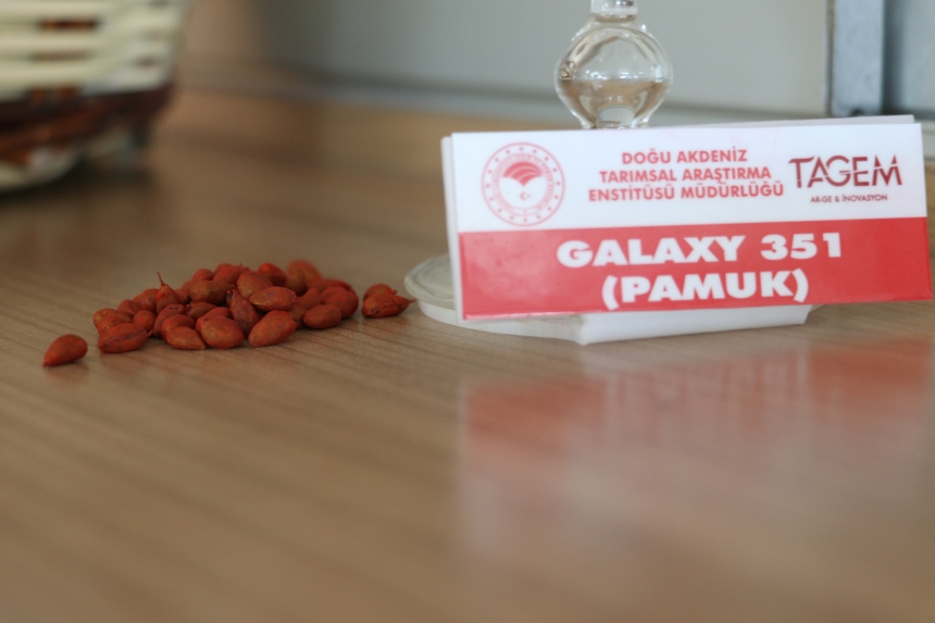 Yerli Pamuktan Lif Kalitesiyle Ekonomiye Çifte Kazanç (3)