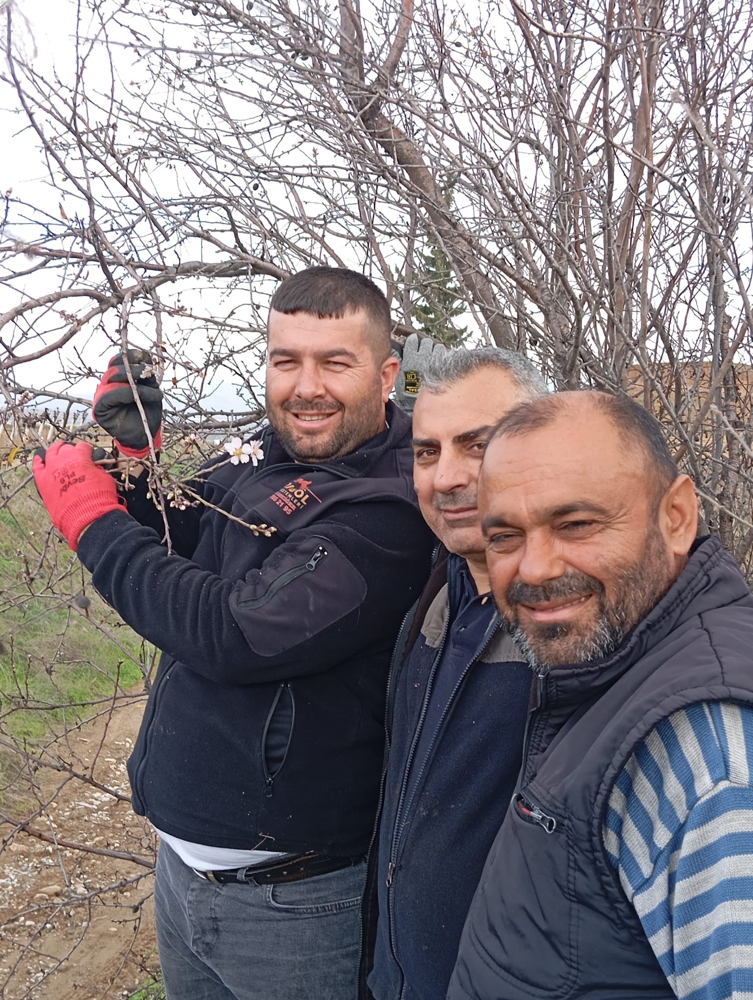 Badem Ağaçları Çiçek Açtı (1)