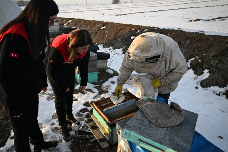 Depremde Arılarını Kaybetti, Devlet Desteğiyle Üretime Döndü! (2)