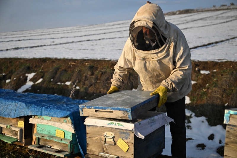 Depremde Arılarını Kaybetti, Devlet Desteğiyle Üretime Döndü!3