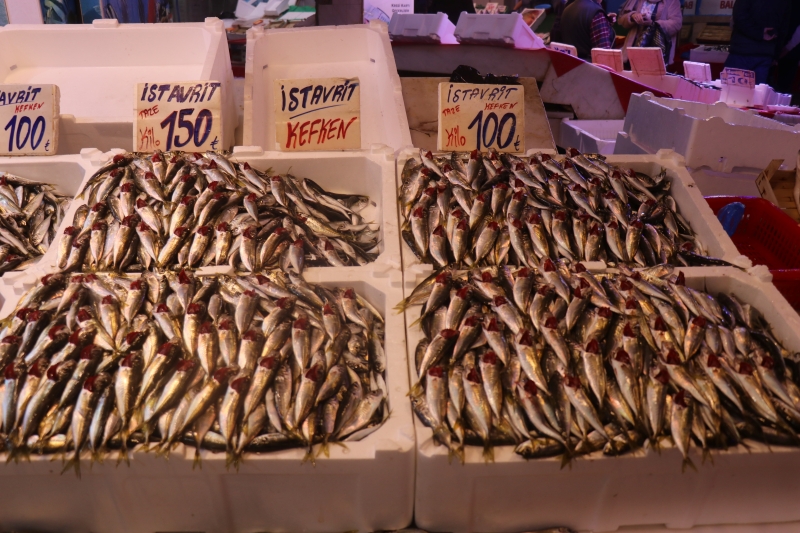 Hamsi Tezgahlardaki Tahtına Yeniden Oturdu (2)