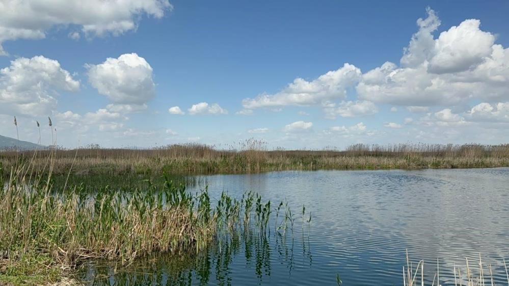 Kiraz Ve Vişne Üreticisinin Gözü Zirvelerdeki Beyaz Örtüde-1