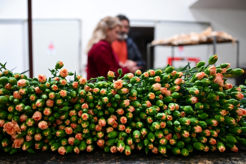 Sevgililer Günü Çi̇çek (1)