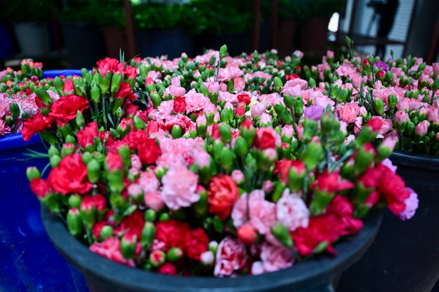 Sevgililer Günü Çi̇çek (3)