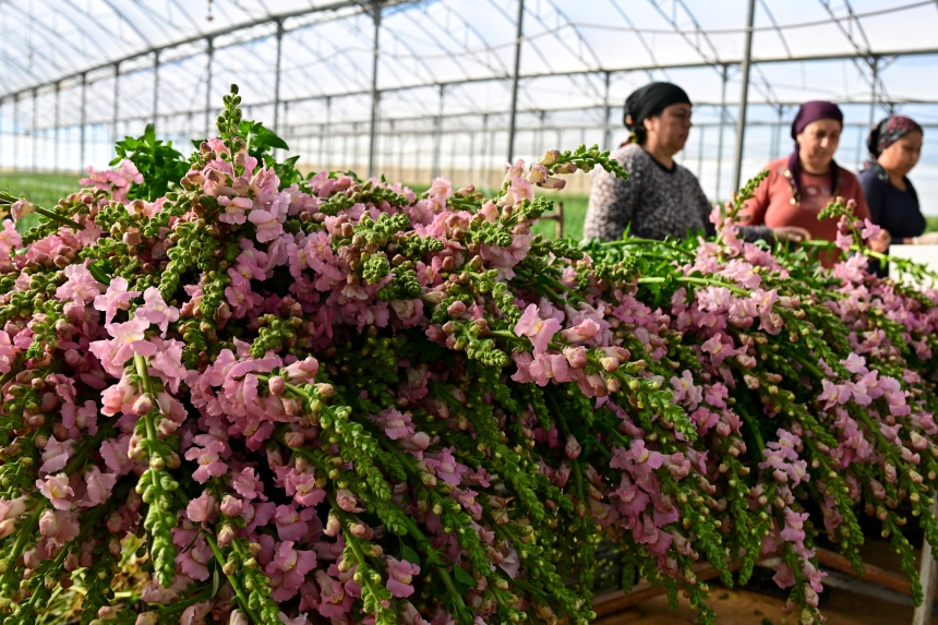 Sevgililer Günü Çi̇çek (4)