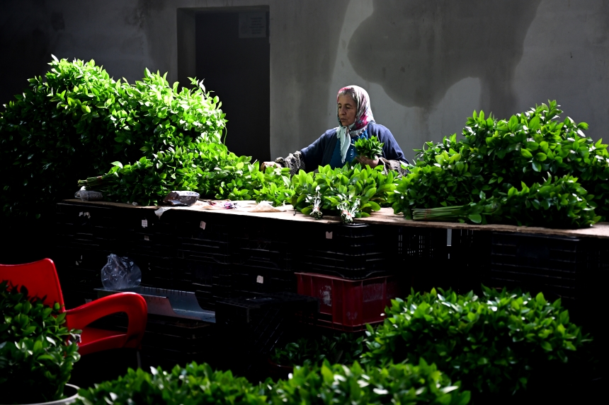 Sevgililer Günü Çi̇çek (6)