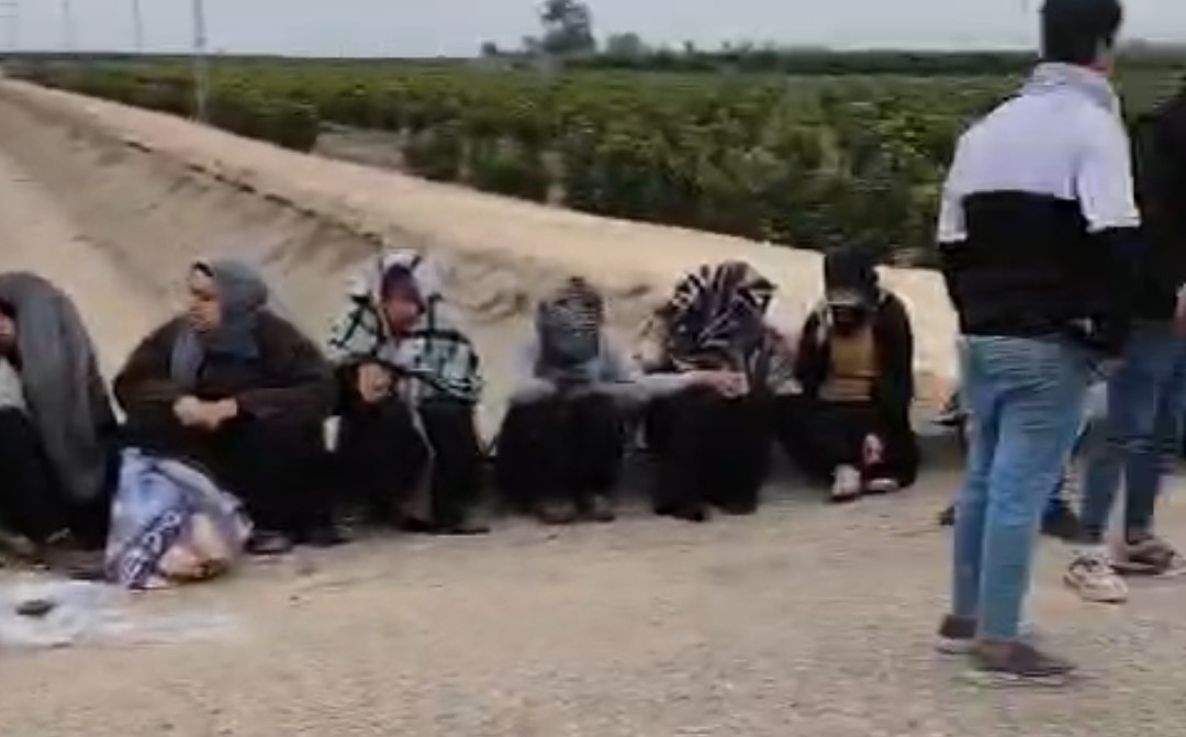 Tarım İşçileri (2)