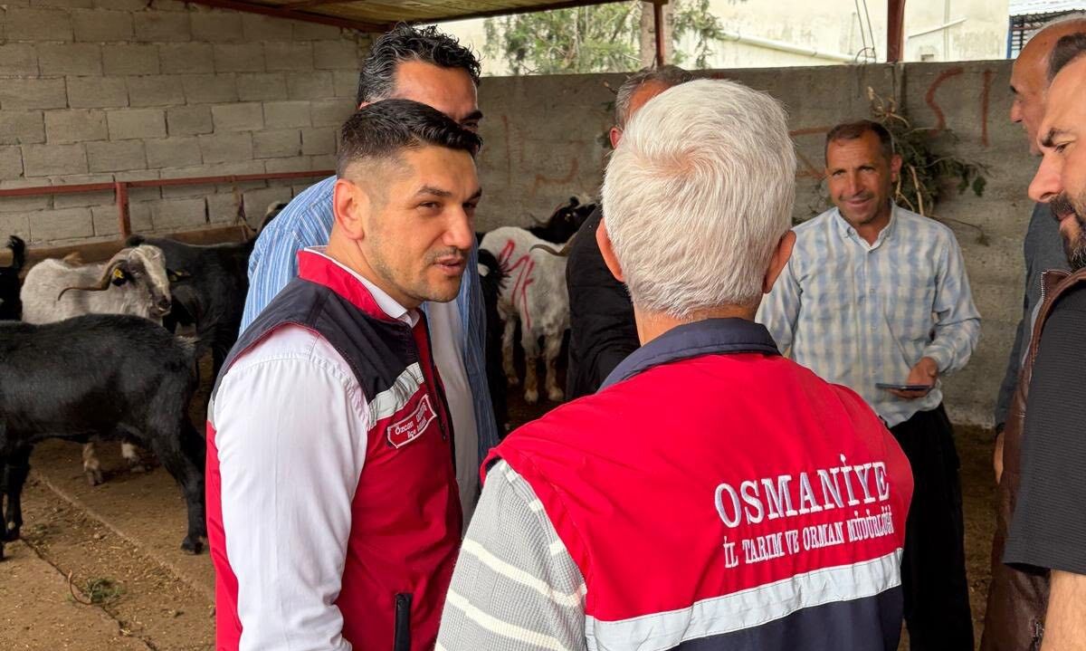 Osmaniye Düziçi'nde Güvenli Kurbanlık İçin Ekipler Sahada1