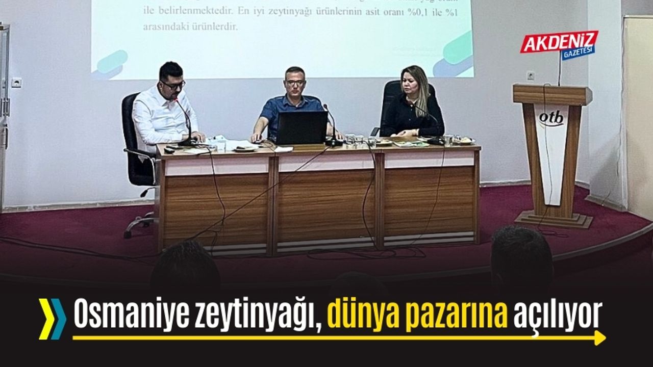 Osmaniye'de zeytinyağı, dünya pazarına hazırlanıyor