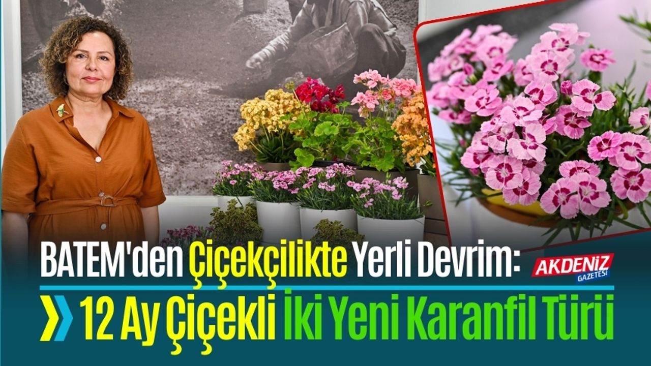 BATEM'den Çiçekçilikte Yerli Devrim: İki Yeni Karanfil Türü