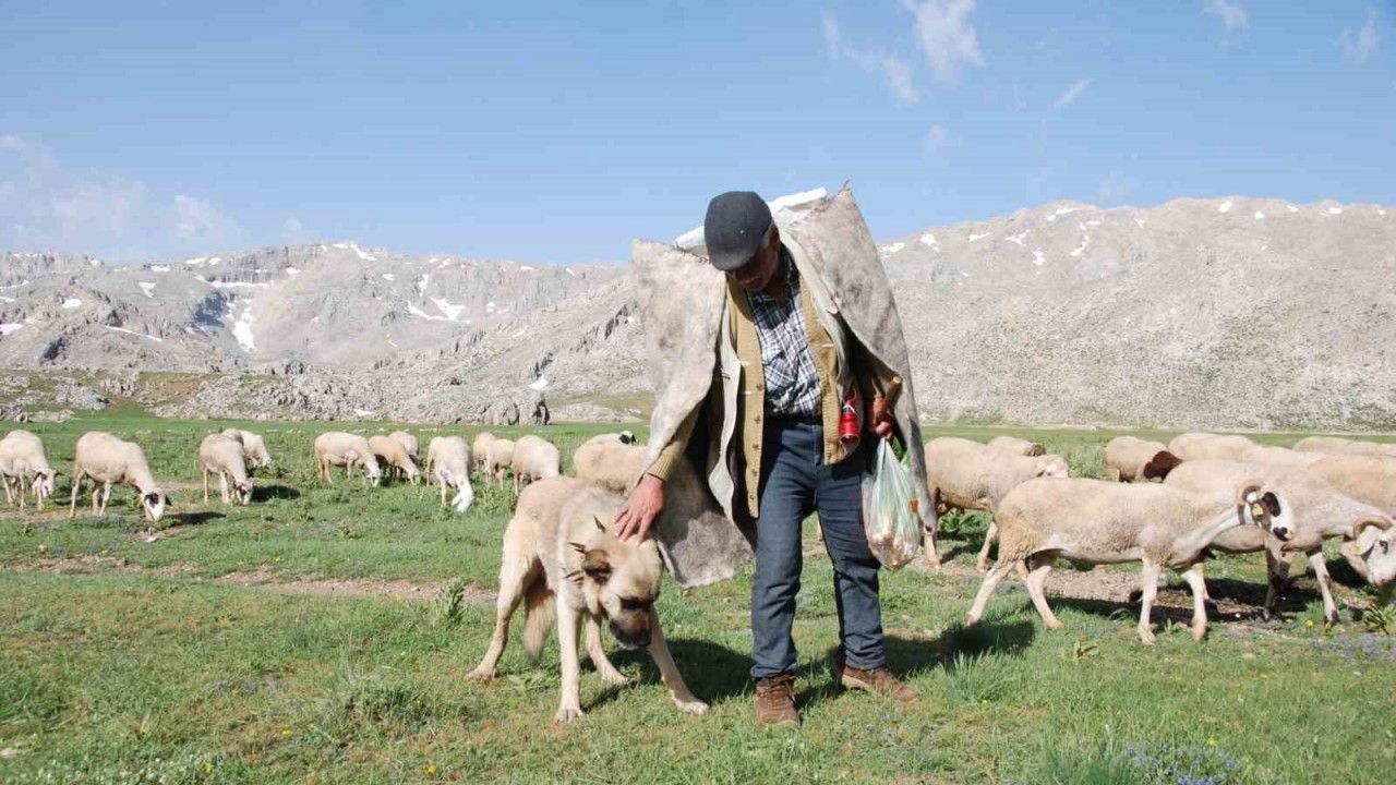 Antalya’da Yörüklerin yayla serüvenleri başladı