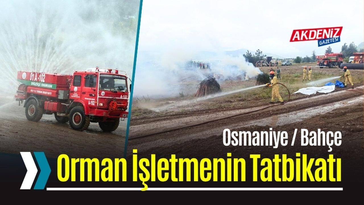 Orman Yangınlarına Karşı Tatbikat Gerçekleştirildi (Video)