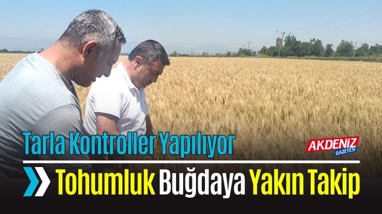 Ekmeklik Buğday Tarlalarında Kontroller Yapıldı