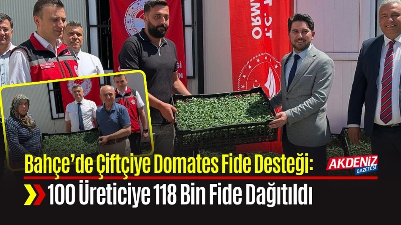 Bahçe’de Çiftçiye Domates Fide Desteği: 100 Üreticiye 118 Bin Fide Dağıtıldı