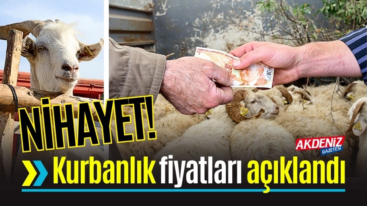 Osmaniye'de kurbanlık fiyatları belirlendi