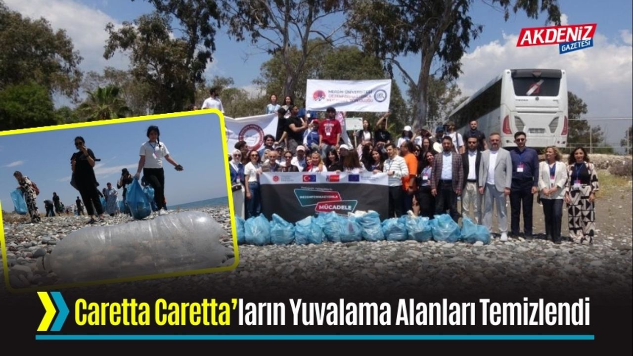 Caretta Caretta’ların Yuvalama Alanları Temizlendi