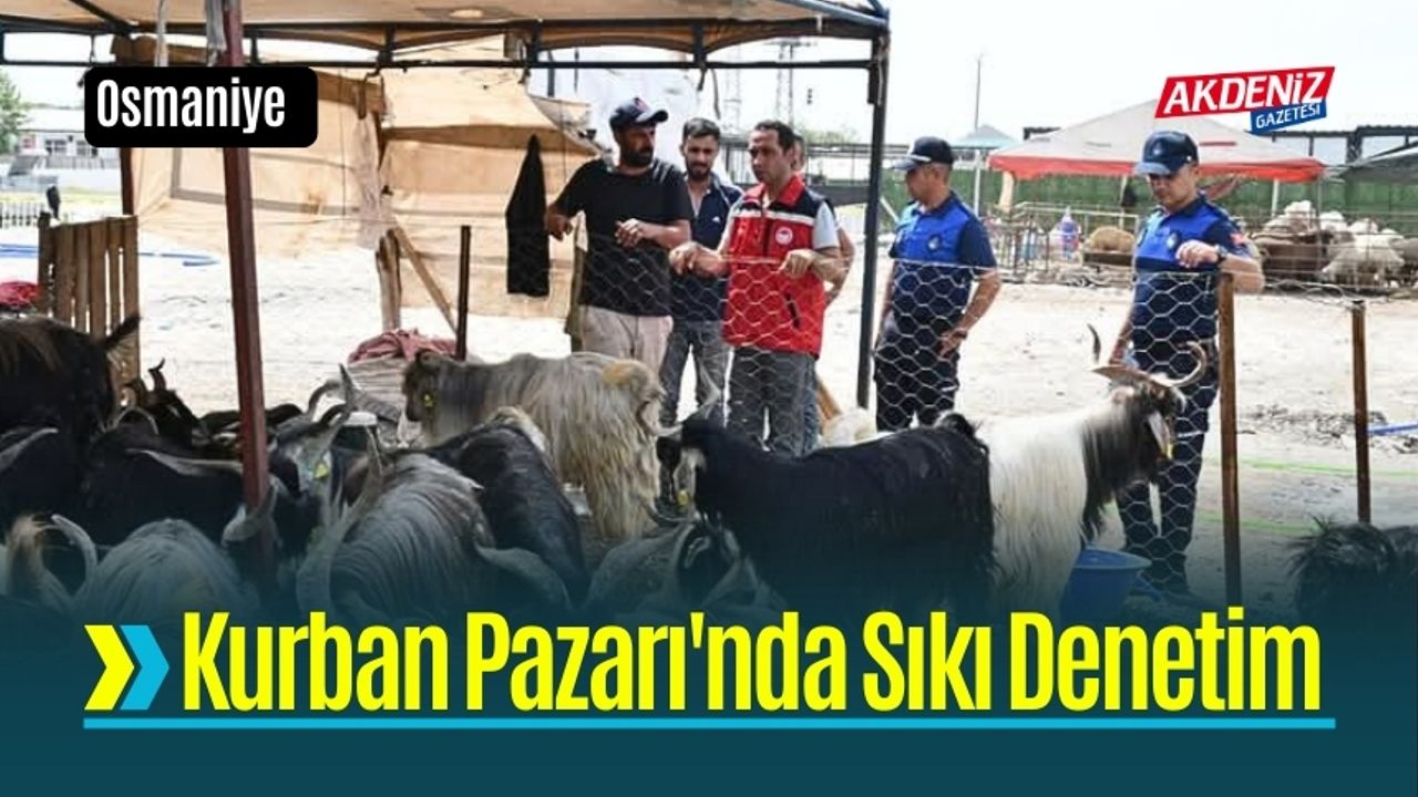 Kurban Pazarı'nda Sağlık Raporu ve Küpe Denetimi