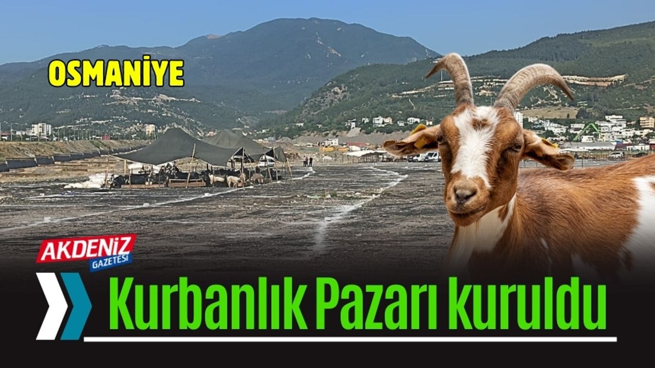 Osmaniye’de Kurbanlık Pazarı Hazır