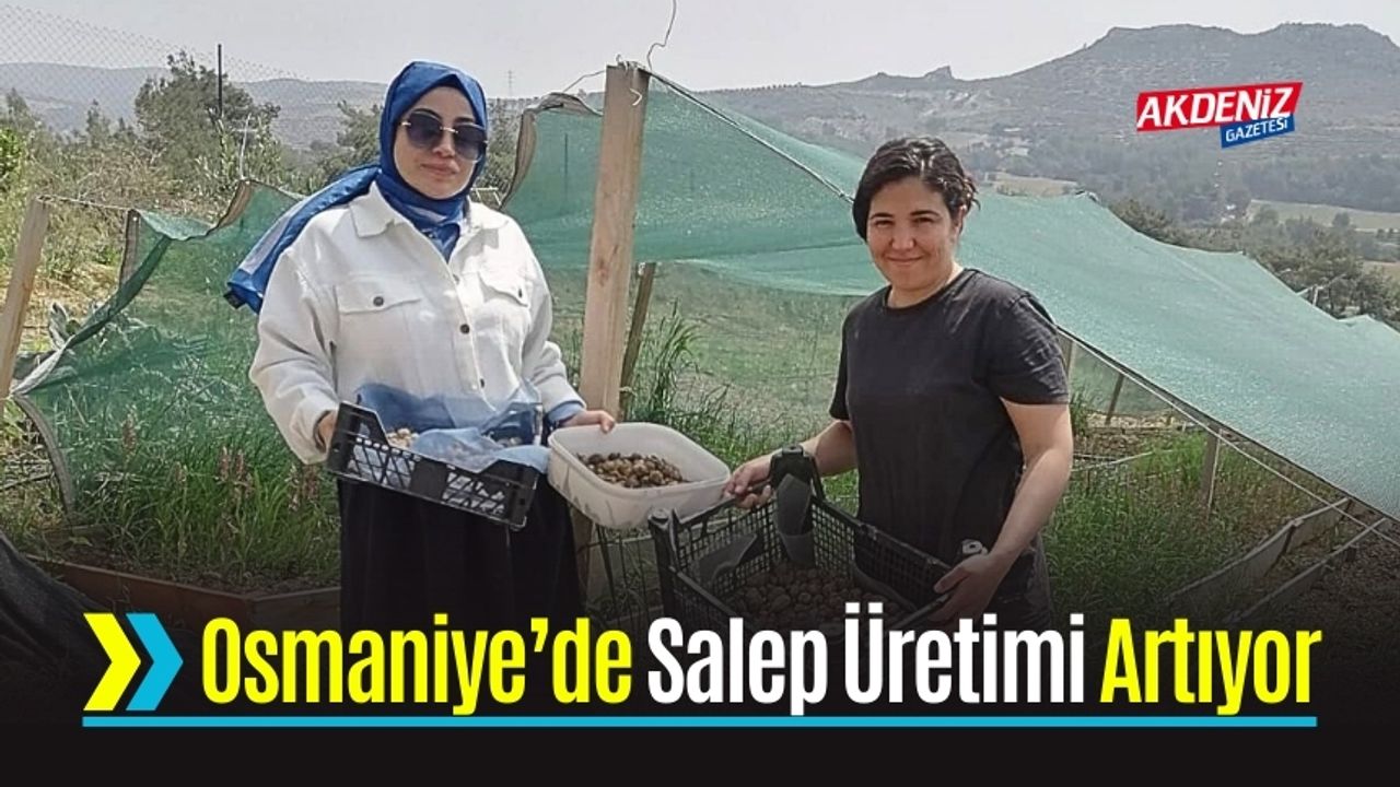 İyi Tarım Uygulamalarıyla Salep Verimi Katlandı