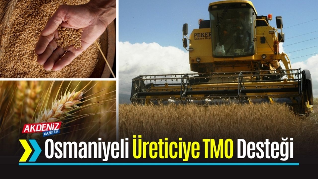 Osmaniyeli Üretici Merakla Bekliyordu, TMO'dan Açıklama Geldi