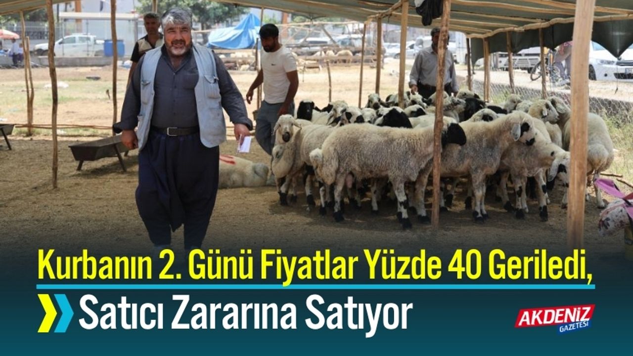 Kurbanın 2. Günü Fiyatlar Yüzde 40 Geriledi, Satıcı Zararına Satıyor