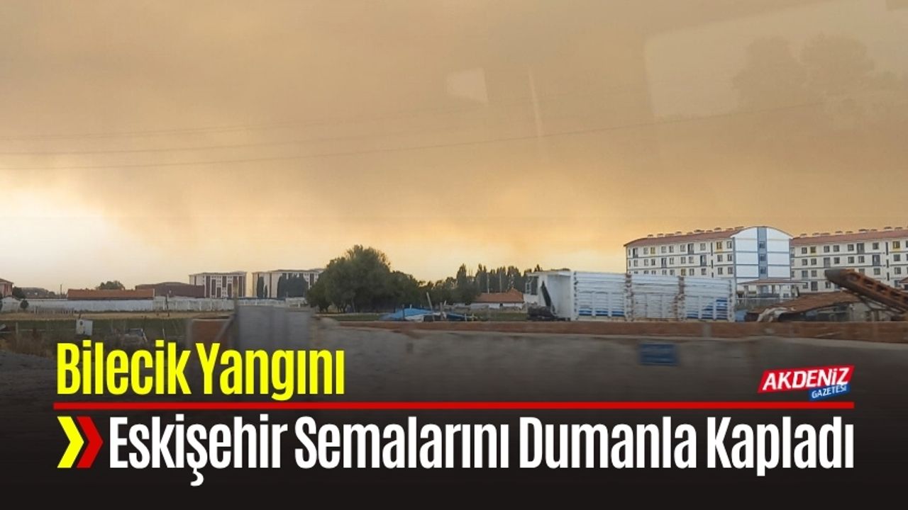 Bilecik Yangını Sarıcakaya’da Gökyüzünü Dumanla Kapladı