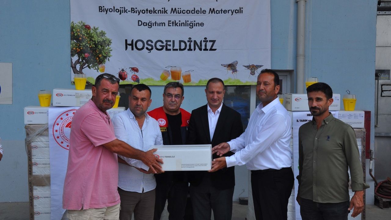 Tarsus'ta Akdeniz Meyve Sineğiyle Mücadelede Dev Hamle